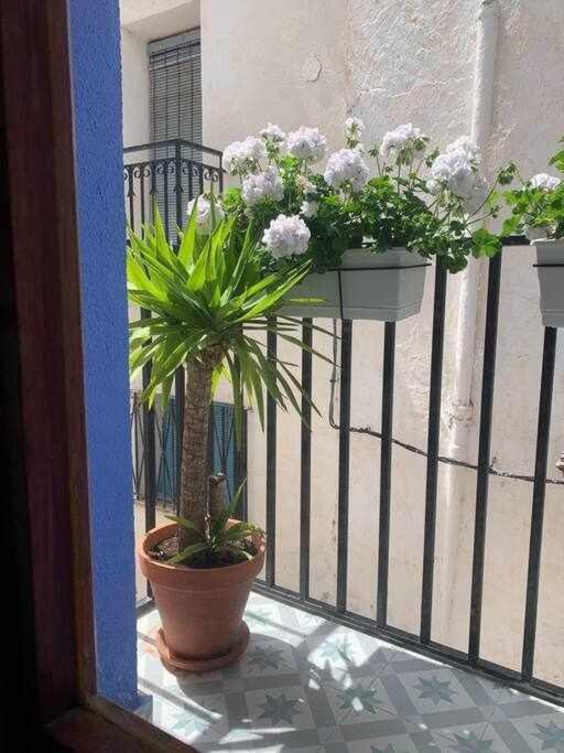 Apartamento CASA ZIBÁ Casco antiguo WifiAA Peñíscola Exterior foto